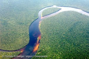 Aerial view of the Congolese rainforest. Taken on a flight from Kinshasa to Bumba.
